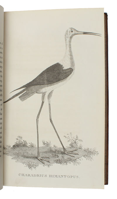 The Natural History of Selborne, new edition, with engravings. 2 vols. (photo 3)