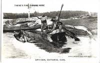 Dryden, Ontario, Canada - Anglers Catch Exaggeratedly Giant Fish on Real Photo Postcard (RPPC) by Canadian Post Card Co., Ltd - 14 July 1958