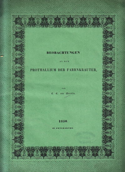 Beobachtungen an dem prothallium der…