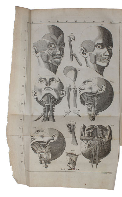 Exposition Anatomique de la Structure du Corps Humain. - [THE ANATOMY OF THE HUMAN BODY] (photo 3)