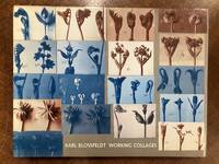Karl Blossfledt: Working Collages