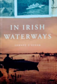 cover of In Irish Waterways