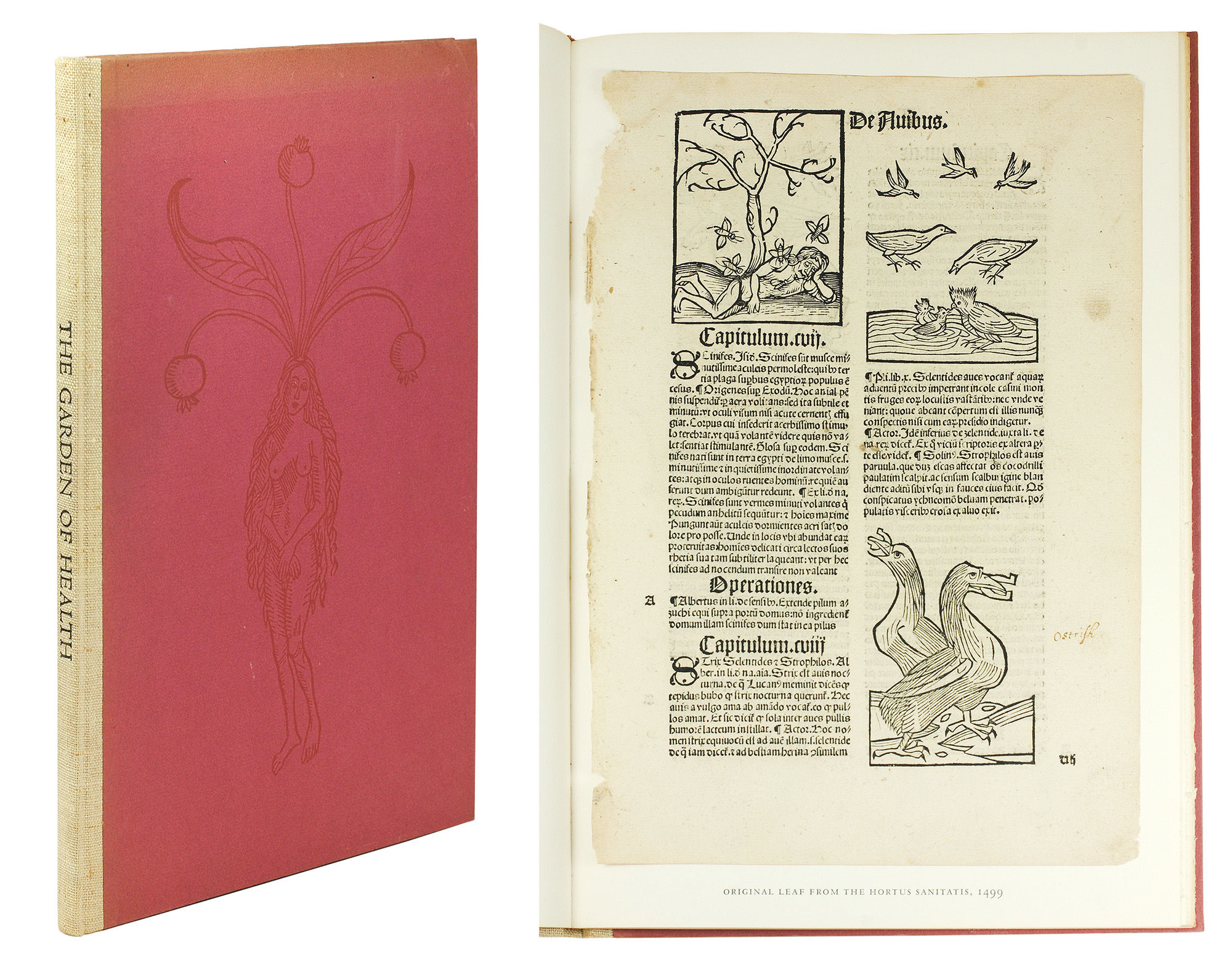 The Garden of Health. An Account of Two Herbals. The “Gart der
