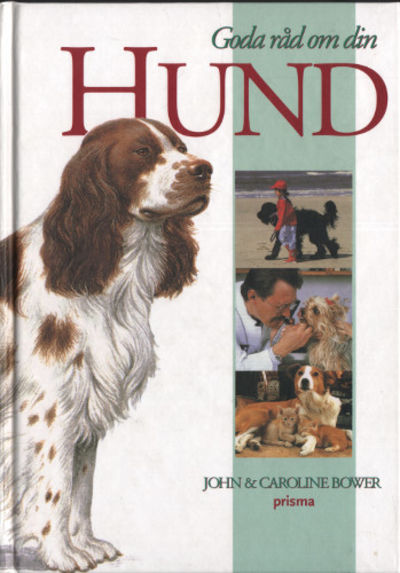 GODA RÅD OM DIN HUND.