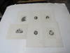 Six Proof Note Engravings by Charles Schlecht, c.1870's