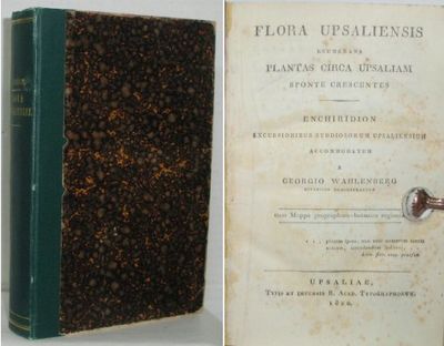 Flora Upsaliensis enumerans plantas circa…