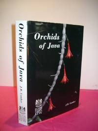 ORCHIDS OF JAVA by J. B Comber - First Edition - 1990 - from Loe Books (SKU: 013876)