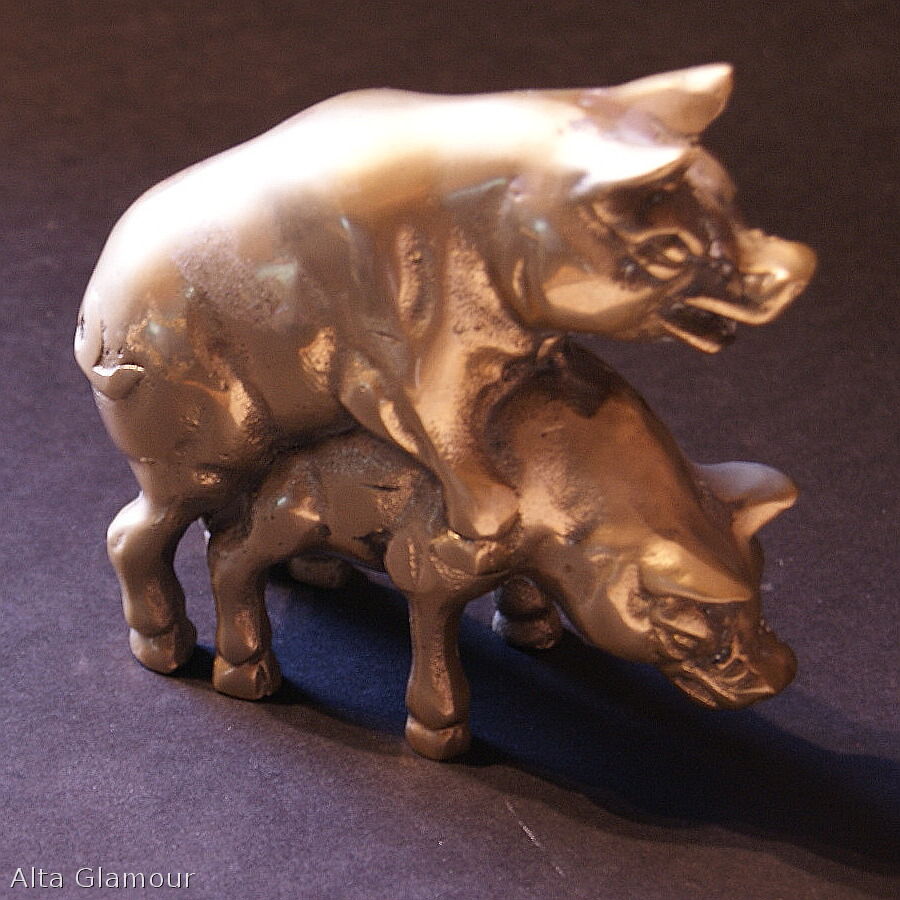 Pigs Mating