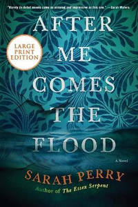 After Me Comes the Flood