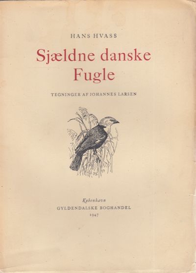 Sjældne danske Fugle. Tegninger af Johannes…
