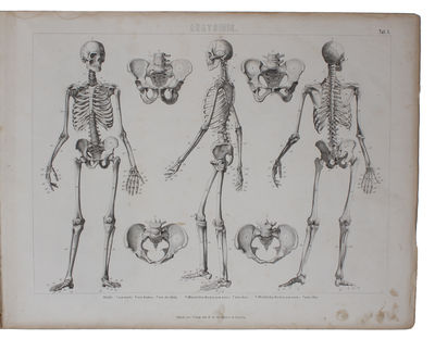 Ikonographische Encyklopädie der Wissenschaften und Künste. Ein Ergänzungswerk zu jedem Conversations=Lexikon. Zweite vollst. umgearb. Aufl. 1.-7. Band (von 8). (photo 6)