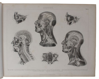 Ikonographische Encyklopädie der Wissenschaften und Künste. Ein Ergänzungswerk zu jedem Conversations=Lexikon. Zweite vollst. umgearb. Aufl. 1.-7. Band (von 8). (photo 7)