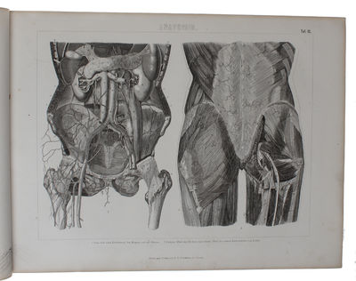 Ikonographische Encyklopädie der Wissenschaften und Künste. Ein Ergänzungswerk zu jedem Conversations=Lexikon. Zweite vollst. umgearb. Aufl. 1.-7. Band (von 8). (photo 8)