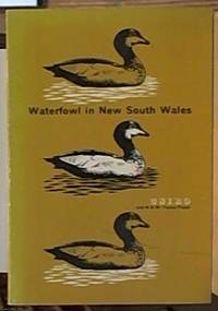 image of Waterfowl in New South Wales
