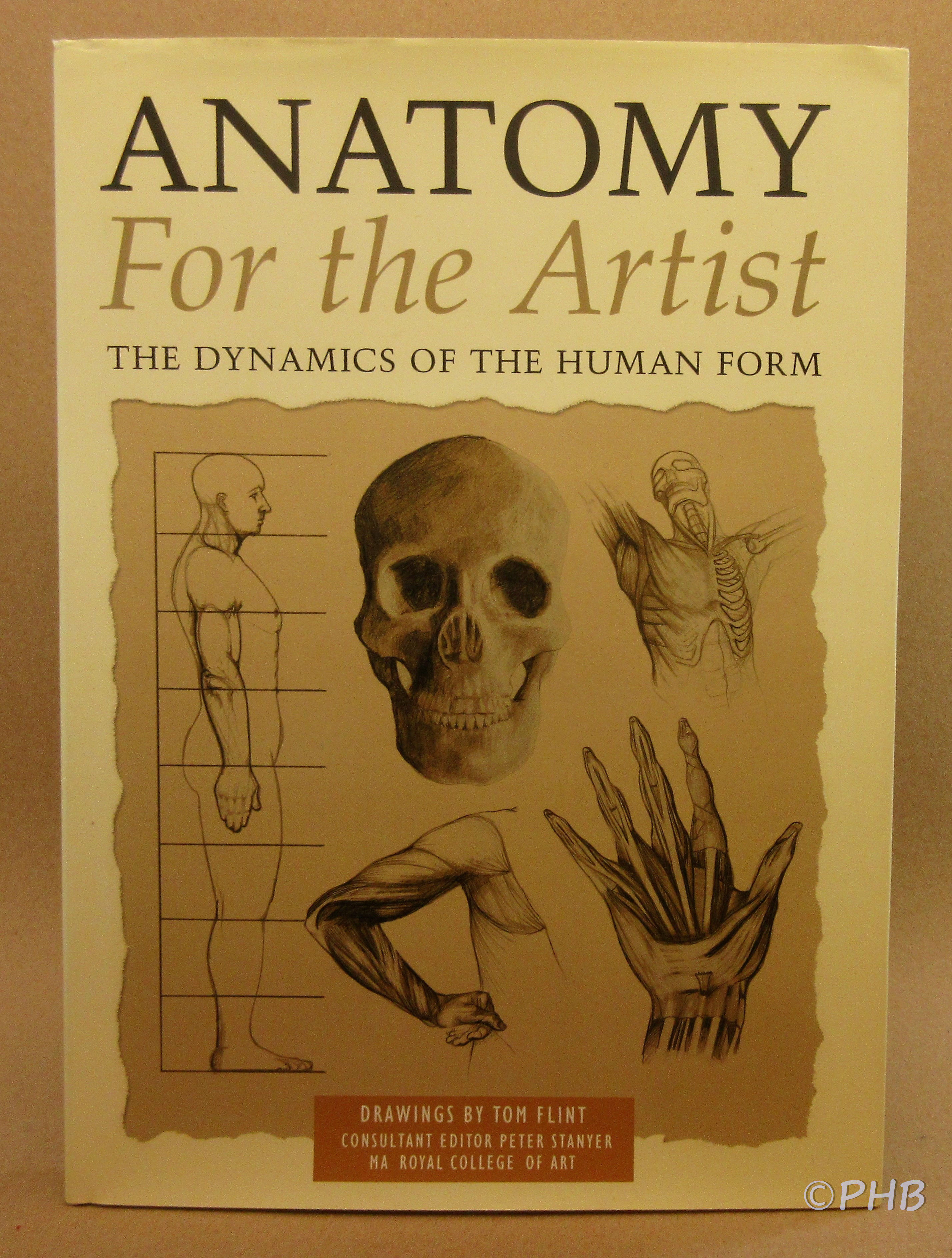 Anatomy for the Artist: The Dynamics of the Human Form, image size:2855x3772