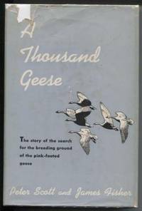 cover of A Thousand Geese