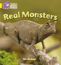 Real Monsters: Band 03/Yellow (Collins Big Cat Phonics)
