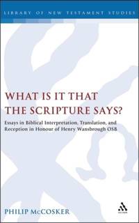 What Is It That the Scripture Says?: Essays in Biblical Interpretation, Translation, and...