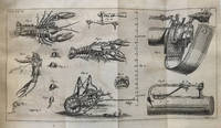 Thumbnail 22