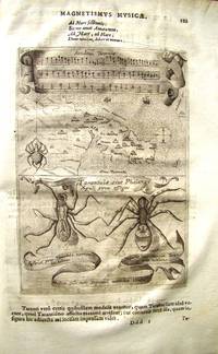 image of ATHANASII KIRCHERI, SOCIETATIS IESU. MAGNES SIVE ARTE MAGNETICA OPUS TRIPARTITUM. QUO UNIVERSAMAGNETIS NATURA, EIUSQUE IN OMNIBUS SCIENTIJS & ARTIBUS USUS, NOVA METHODO EXPLICATUR, ETC