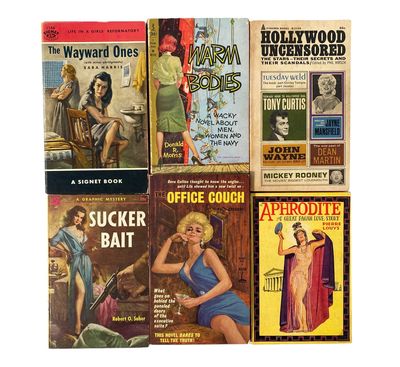 Crime, Lust, and Scandal Six Pulp Novels Collection, 1946-65