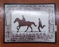 image of Eadweard Muybridge: The Stanford Years, 1872-1882