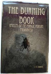 image of The Burning Book