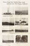 View Image 1 of 2 for Views of and Bear Jasmine Citrus Lands and Oil Acres, Kern County, California  Inventory #3781
