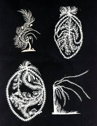 Four (4) Intricate and Fine Early 19th Century Cutwork