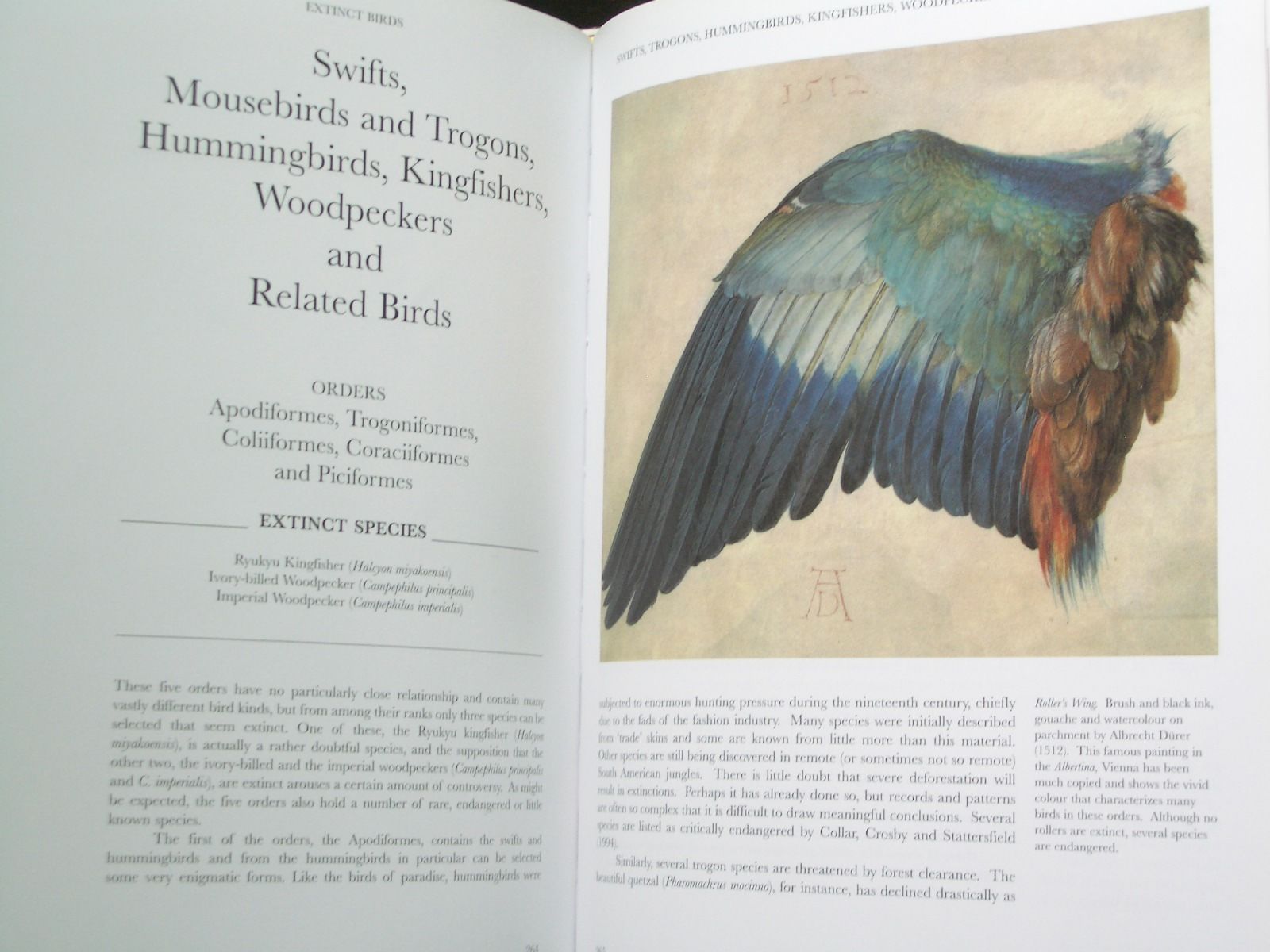 Extinct Birds【絶滅鳥類　洋書】 Extinct Birds: Revised Edition by Fuller, Errol | Hardcover