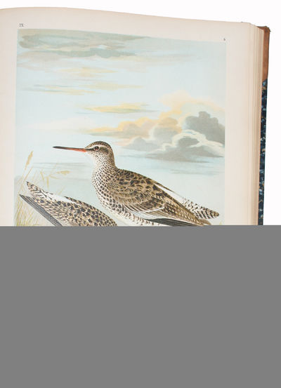 Naturgeschichte der Vögel Mitteleuropas. Neubearbeitet von G. Berg, R. Blasius a.( many others). Hrsg. von Carl R. Heinicke. IX. Band. (Wasserläufer,Schnepfen, Schwäne, Gänse). Mit 34 Chromotafeln. (photo 3)