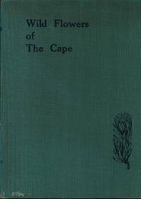 Wild Flowers of the Cape A Floral Year