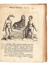 Fortunius Licetus De Monstris. Ex...; (photo 11)