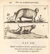 Fortunius Licetus De Monstris. Ex...; (photo 12)
