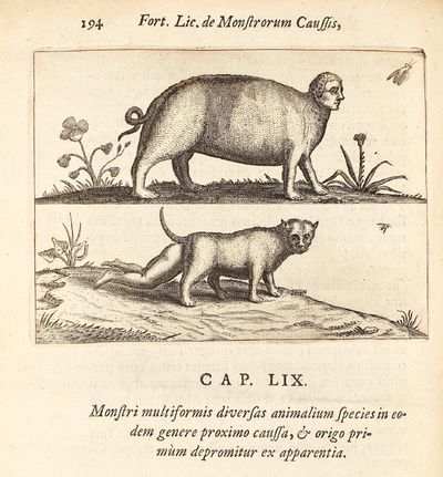 Fortunius Licetus De Monstris. Ex...; (photo 12)