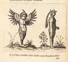 Fortunius Licetus De Monstris. Ex...; (photo 13)