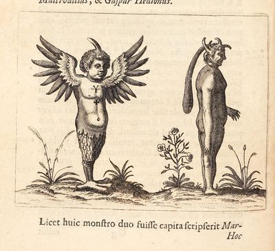 Fortunius Licetus De Monstris. Ex...; (photo 13)