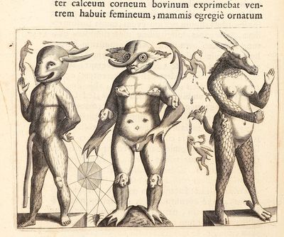 Fortunius Licetus De Monstris. Ex...; (photo 14)