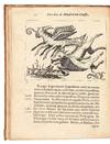 Fortunius Licetus De Monstris. Ex...; (photo 4)