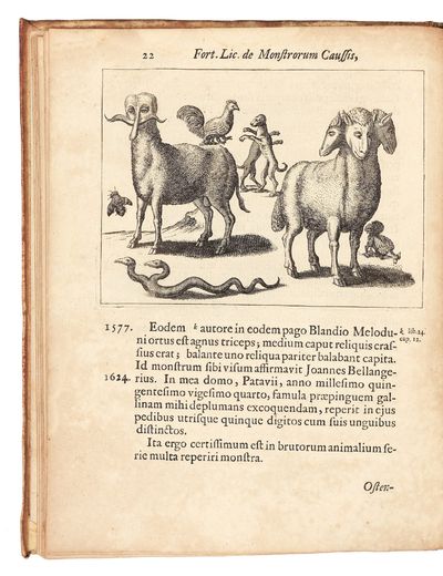 Fortunius Licetus De Monstris. Ex...; (photo 5)