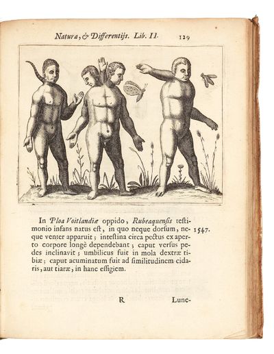 Fortunius Licetus De Monstris. Ex...; (photo 9)