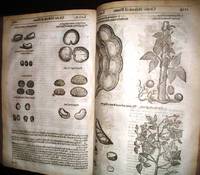 [HERBAL] THE HERBALL OR GENERALL HISTORIE OF PLANTES. GATHERED BY JOHN GERARDE OF LONDON MASTER IN CHYRURGERIE Very Much Enlarged and Ammended by Thomas Johnson, Citizen and Apothecarye of London