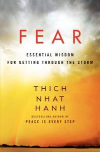 Fear : Essential Wisdom for Getting Through the Storm
