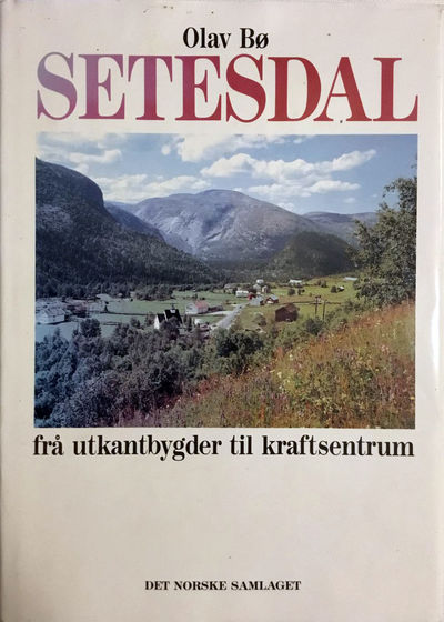 Setesdal - frå utkantbygder til kraftsentrum