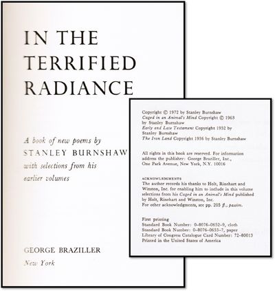 In the Terrified Radiance...; (photo 5)
