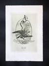 Bookplate: Oskar Leuschner Ex Libris