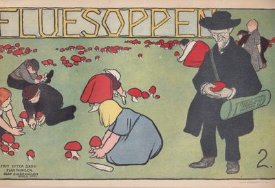 Fluesoppen 2.