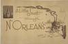 A Little Jaunt through N'Orleans: A Picturesque Review of the Modern, Commercial, and Historic City