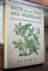 Birds Of The Field And Woodland