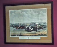 THE RACE - JEROME PARK N.Y